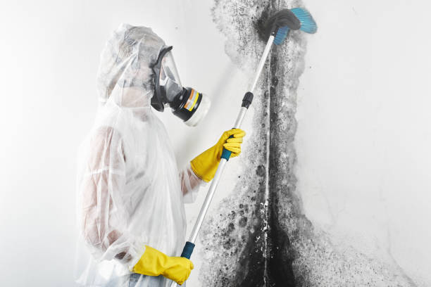 Best Airborne Mold Testing  in Grand Coulee, WA