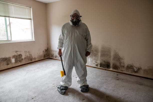 Best Post-Construction Mold Inspection  in Grand Coulee, WA